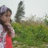DSC_7624 (FILEminimizer)