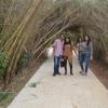 DSC_7638 (FILEminimizer)