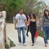 DSC_7648 (FILEminimizer)