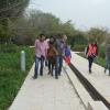 DSC_7649 (FILEminimizer)