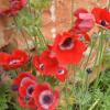 DSC_7656 (FILEminimizer)