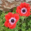 DSC_7670 (FILEminimizer)