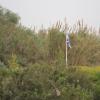 DSC_7683 (FILEminimizer)