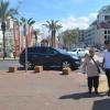 DSC_8040 (FILEminimizer)