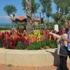 DSC_8044 (FILEminimizer)