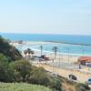 DSC_8048 (FILEminimizer)