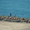 DSC_8050 (FILEminimizer)