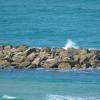 DSC_8053 (FILEminimizer)
