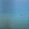 DSC_8054 (FILEminimizer)