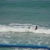 DSC_8055 (FILEminimizer)