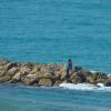 DSC_8057 (FILEminimizer)