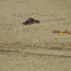 DSC_8060 (FILEminimizer)