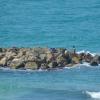 DSC_8061 (FILEminimizer)