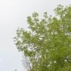 DSC_7805 (FILEminimizer)