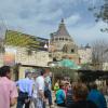DSC_7809 (FILEminimizer)