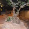 DSC_7827 (FILEminimizer)